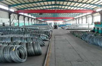 Galvanized steel wire 1